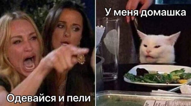 Когда есть домашка…