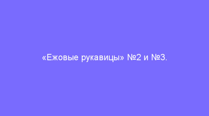 «Ежовые рукавицы» №2 и №3. Отчёты.