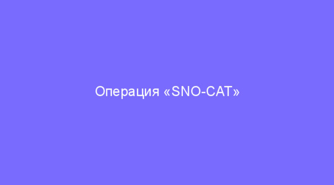 Операция «SNO-CAT»